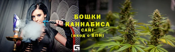 сатива Армянск