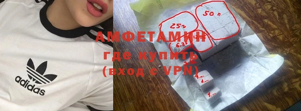 шишки Алзамай