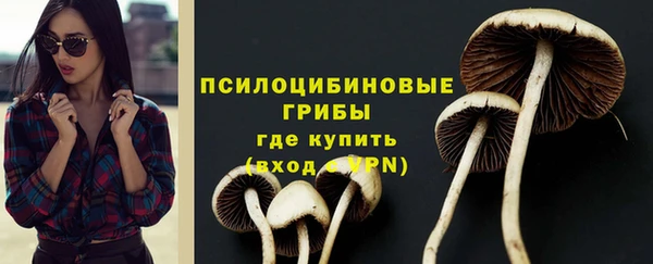шишки Алзамай