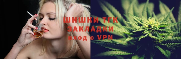 шишки Алзамай