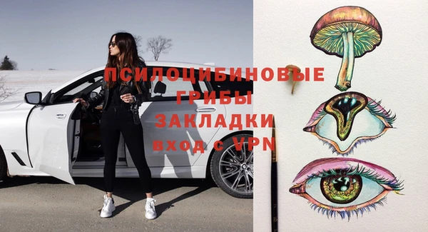 сатива Армянск