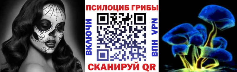 Псилоцибиновые грибы мухоморы  купить наркотики цена  кракен как зайти  Аркадак 